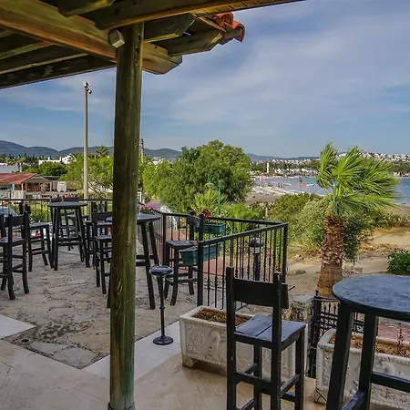 Отель 3s Bodrum 4*