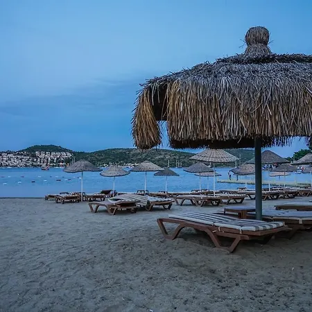 Отель 3s Bodrum 4*