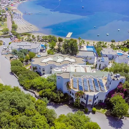 3s Bodrum Битез