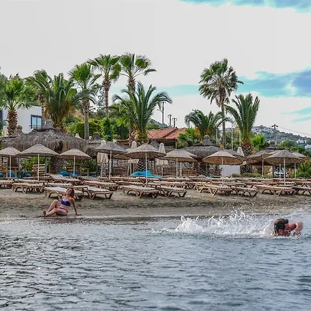 3s Bodrum