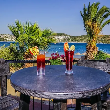 Отель 3s Bodrum 4*