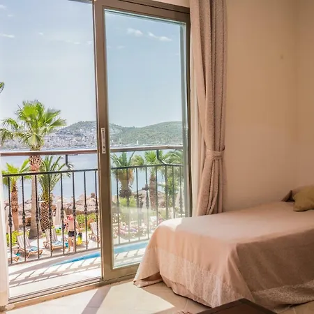 3s Bodrum
