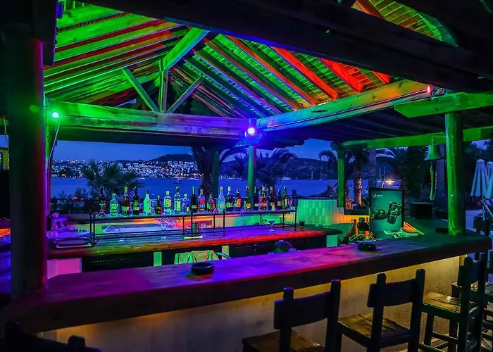 3s Bodrum 4* ביטז