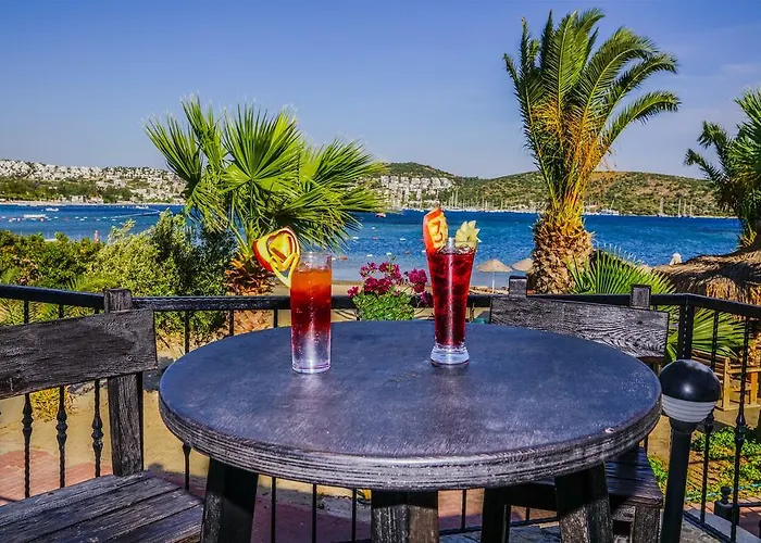 Otel 3s Bodrum 4*